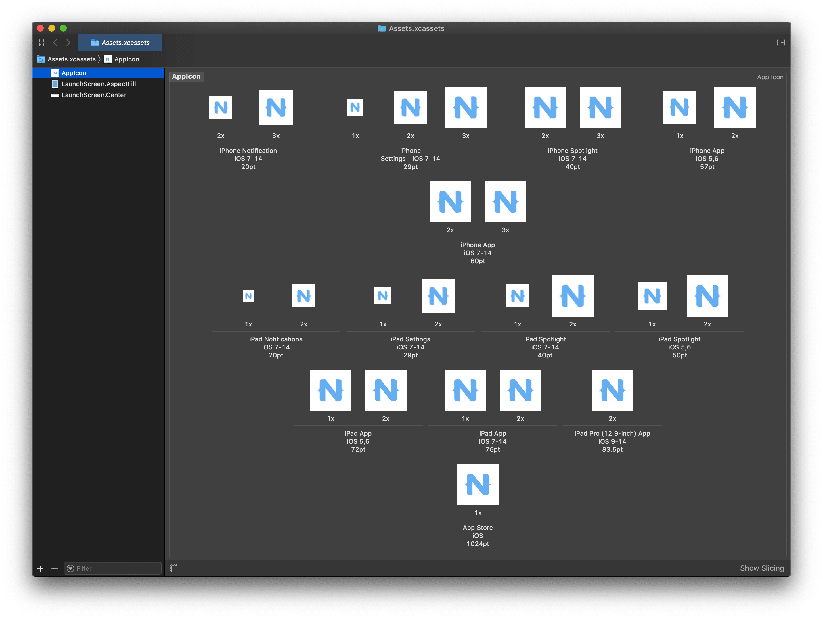AppIcon setup in Xcode